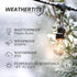 24 Commercial 7 1W Bulbs, Dimmable Brightech Ambience Pro LED String Lights - Ft Grade Patio Lighting Outdoor