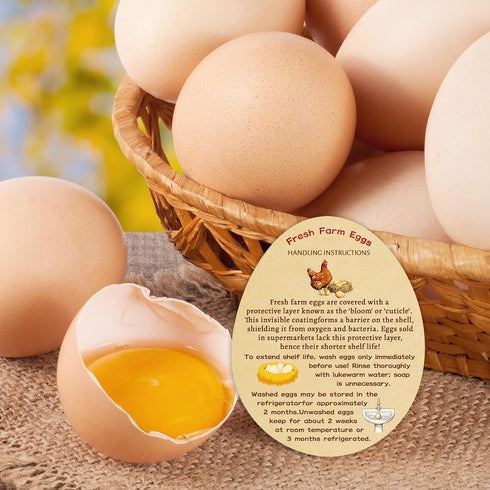 LyingMonkey 300 3.3 4 inches pcs Farm Fresh Eggs Handling Instructions Cards, x Custom Egg Carton Stamps Stickers Cheap