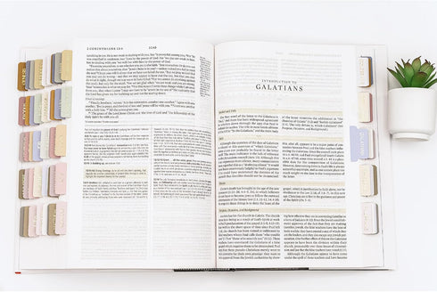 Verse & Vow 66 24 Bible Tabs, Coastal Crush - Tabs + Blanks, Laminated Gold Embossed, Durable & Elegant Bible