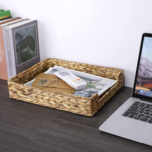 BTSKY Multipurpose A4 File Tray, Natural Water Hyacinth Desk Organizer for Letter Size Documents, Office, Bathroom
