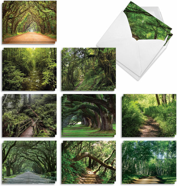 The Best Card Company - 20 Blank Landscape Nature Note Cards (4 x 5.12 Inch) - Nature Trails (10 Designs, 2 Each)