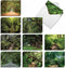 The Best Card Company - 20 Blank Landscape Nature Note Cards (4 x 5.12 Inch) - Nature Trails (10 Designs, 2 Each)