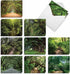 The Best Card Company - 20 Blank Landscape Nature Note Cards (4 x 5.12 Inch) - Nature Trails (10 Designs, 2 Each)