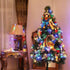 2 Pack 50 C6 8 23FT Leisure world Led Solar Outdoor Christmas Decorations, Modes Strawberry String Lights,Christmas