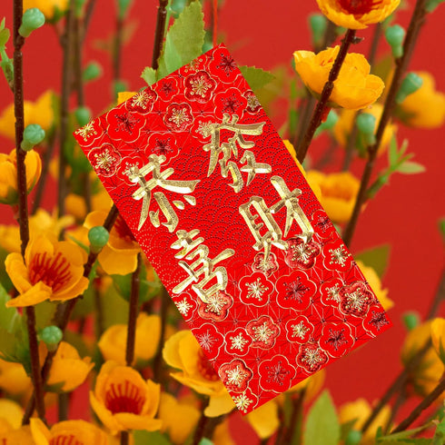Winlyn 120 Pcs Asian Red Envelopes, 6 Designs for Chinese Lunar New Year, Wedding, Birthday, Cash Envelopes