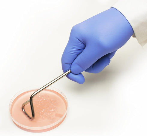 SP Bel-Art Bacterial Cell Spreader for 9cm Plates; Stainless Steel, 1.0 in. Wide Spreading Bar (F37736-0009) by SP Scienceware