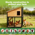16" 50' 1/2inch 19 x Black Hardware Cloth - Gauge Chicken Wire Hot Dipped Galvanized Mesh Roll for Chicken Coop