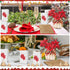 Afniimyapt 10 Sets Poinsettia 3D Poinsettias 3D Poinsettia Christmas Basket Pop Up Cards Paper Basket Popup Greeting