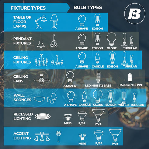 Bulbrite 705140 Bulb, 1 Count (Pack 1), Light of Clear
