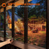 Dimmer 300W, 2h/4h/6h/8h, 4 Dimmer addlon for Outdoor String Lights, Timing Brightness Level, Remote Control, Control