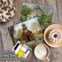 The Best Card Company - 10 Blank Note Cards Boxed (4 x 5.12 Inch) - Assorted Architecture All Occasion Cards