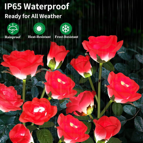 10 2 Pack Solar Garden Lights, Solar Outdoor Lights with More Realistic Rose Waterproof Solar Powered Flowers