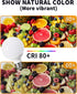4 Pack Warm White LED Globe Light Bulbs for Bathroom, E26 Medium Base, 120V 60 Watt Equivalent, Not Dimmable, 2700K G25