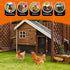 1/2'' 24'' 50' 19 X Hardware Cloth, Gauge Chicken Wire Fencing Double Layer Hot Dip Galvanizing, Wire Mesh Fence
