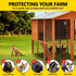 36" 50' 1/4inch 19 (3650-19Gauge) x Hardware Cloth Gauge, Black Galvanized Welded Wire Mesh Roll for Chicken Coop