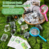 GlikCeil 12 10x Pcs Insect in Resin Specimen Bugs Discovery Kit Collection Paperweight Bug with Information Flash Cards