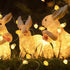 78.74 inch 20 Bulbs, Chick and Egg Shaped String Lights Indoor, Easter String Lights with Easter Decorations, Easters