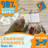 LEARNING DYNAMICS 15 Counting, 4-7 Minute Math Program Numeric & Math Learning Program Includes Flashcards