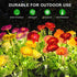 2 Pack 14 Solar Flowers Lights, Solar-Powered Outdoor Light with Blooming Flowers, Waterproof Lights for Outside Yard