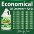 Set 2, 32 oz 1 OdoBan Ready-to-Use Disinfectant and Odor Eliminator, Made in the USA, Original Eucalyptus Scent