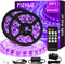 Upgraded 33ft/10M LED Black Light Strip Set with Remote, 600 LEDs, 12V