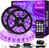 Upgraded 33ft/10M LED Black Light Strip Set with Remote, 600 LEDs, 12V
