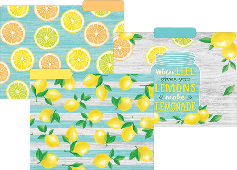 Teacher Created Resources Lemon Zest File Folders, 12 Per Pack, 2 Packs