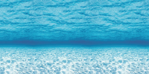 Fadeless Bulletin Board Paper - Fade-Resistant Paper for Classroom Decor, 48” x 12’, Under the Sea, 1 Roll