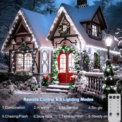 C9 66ft 100 C9 ZAIYW Christmas String Lights LED Strawberry Lights UL Plug String Lights Green Wire Waterproof