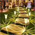 DenicMic 10 Pack 3000K Solar Lights Outdoor Waterproof Warm White LED Stainless Steel Stake Outside Lights for Yard