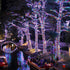 33FT 100 8 Christmas String Lights, LEDs Chritsmas Tree Lights Indoor String Lights Modes with End-to-End Plug Fairy