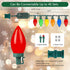 35 C9 HAYATA Music Christmas Lights LED String Light - Fairy Xmas Decor Lighting for Outdoor, Indoor, Patio, Party