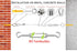 1/8" 304 Cable,M5 Wire Rope,Turnbuckles for Cables Wire, Stainless Steel Turnbuckle Kit,Wire Cable Turnbuckle Tensioner