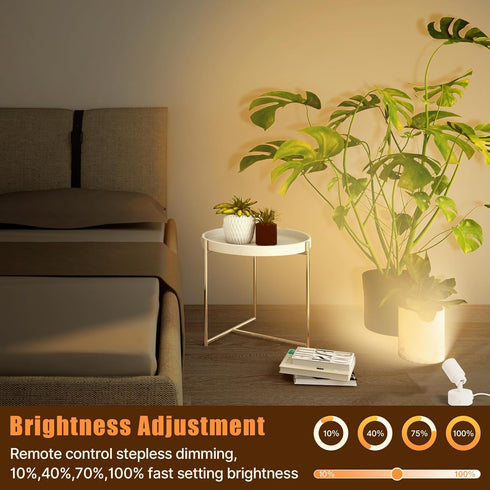 Kandicyar 2 Pack 5W Dimmable 3 LED Spot Lights Indoor, Uplighting with Remote Control & Timer, Uplights Indoor Floor