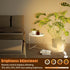 Kandicyar 2 Pack 5W Dimmable 3 LED Spot Lights Indoor, Uplighting with Remote Control & Timer, Uplights Indoor Floor