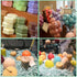 Shrink Wrap Bags, 6X8 Inches Round End PVC Heat Shrink Wrap for Handmade Soap, 100 Pcs for DIY Crafts
