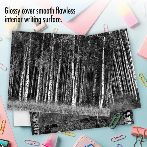 The Best Card Company - 10 Blank Note Cards with Envelopes (4 x 5.12 Inch) - Bulk Boxed Set of Black & White Photos