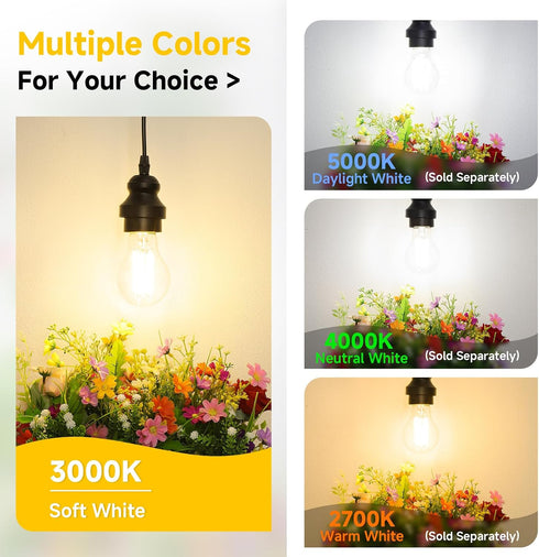 Dimmable A19 Bulb 60W 6W Bulbs 3000K 850 E26 4 Pack ASOMST LED Filament Equivalent, Vintage Edison Light Soft White LM