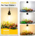 Dimmable A19 Bulb 60W 6W Bulbs 3000K 850 E26 4 Pack ASOMST LED Filament Equivalent, Vintage Edison Light Soft White LM