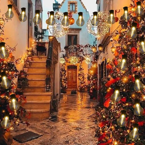 6.5Ft 10 Vintage Christmas Lights Battery Powered LED Edison Hanging Lights with Remote Timer, Indoor Fairy Lights