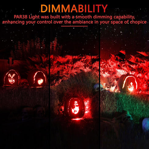 Gonhom PAR38 Outdoor,Dimmable Bulbs,20W(Equivalent 200W),E26 Bulb Halloween,Christmas,2 Pack Flood Lights LED Flood