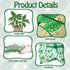 Qilery 50 Pcs Plant Bulletin Board Decoration Kindness Grow Greatness Cutouts for Elementary Classroom Decor