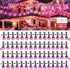 26Ft ST38 LAMPHOME Outdoor String Lights, Pink Patio Lights, Connectable Waterproof Shatterproof LED String Lights