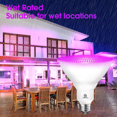 ENERGETIC Purple Par38 LED Flood Outdoor Light Bulb, 16W Dimmable, E26 Base for Holiday Lighting, 2 Pack