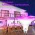 ENERGETIC Purple Par38 LED Flood Outdoor Light Bulb, 16W Dimmable, E26 Base for Holiday Lighting, 2 Pack