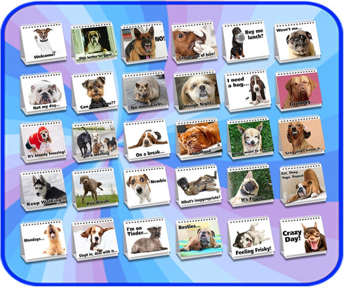 Funny Dog Desk Signs for Office | Ideal Gifts for Dog Lovers | Perfect Desk Decor & Accessories