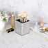 BTSKY Crystal Glitter Pen Holder for Desk, Shiny Pencil Pot Box, Decorative Makeup Brushes Holder, Great Gift for Women