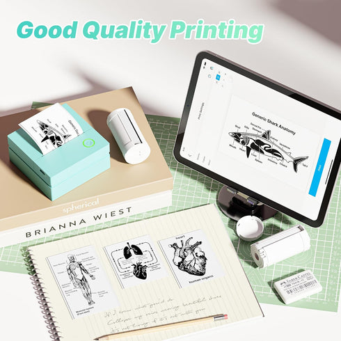54mmx3.2m PM290 3 Genuine Self-Adhesive Thermal Printer Stickers, Sticker Paper, Compatible with Mini Sticker Printer