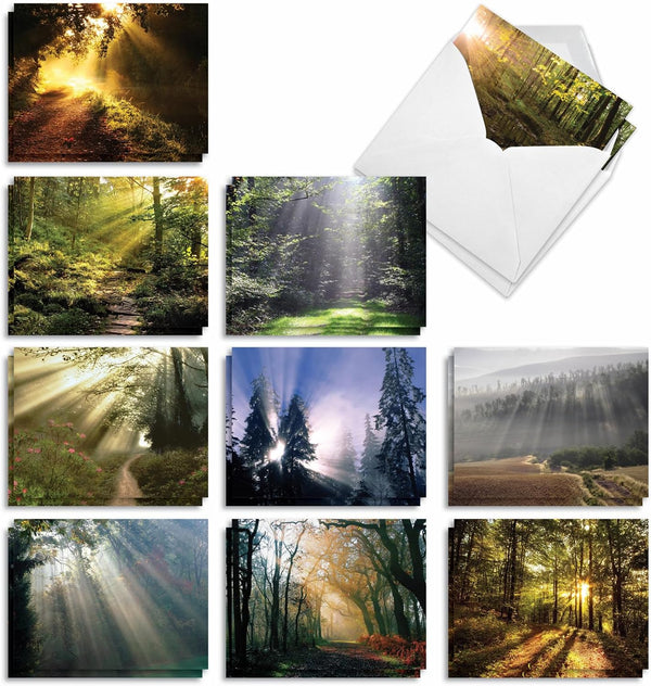 The Best Card Company - 20 Blank Landscape Nature Note Cards (4 x 5.12 Inch) - 10 Designs, 2 Each - Shining Through