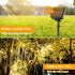 288FT 800LED 4-Pack 72FT 200 8 Extra-long Solar Fairy String Lights, LED Outdoor Twinkle Lights Waterproof, Lighting
